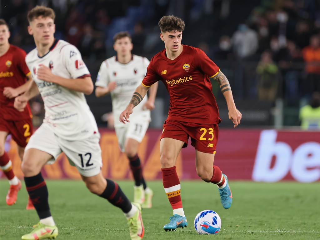 关注并参与 关注并参与